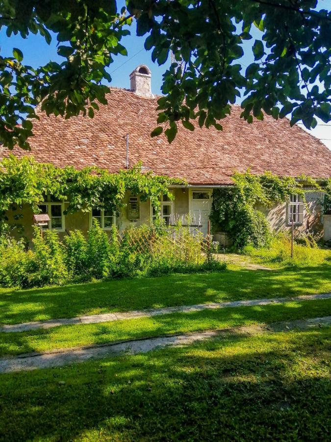 Gaestehaus Fogarasch Făgăraş Exterior foto