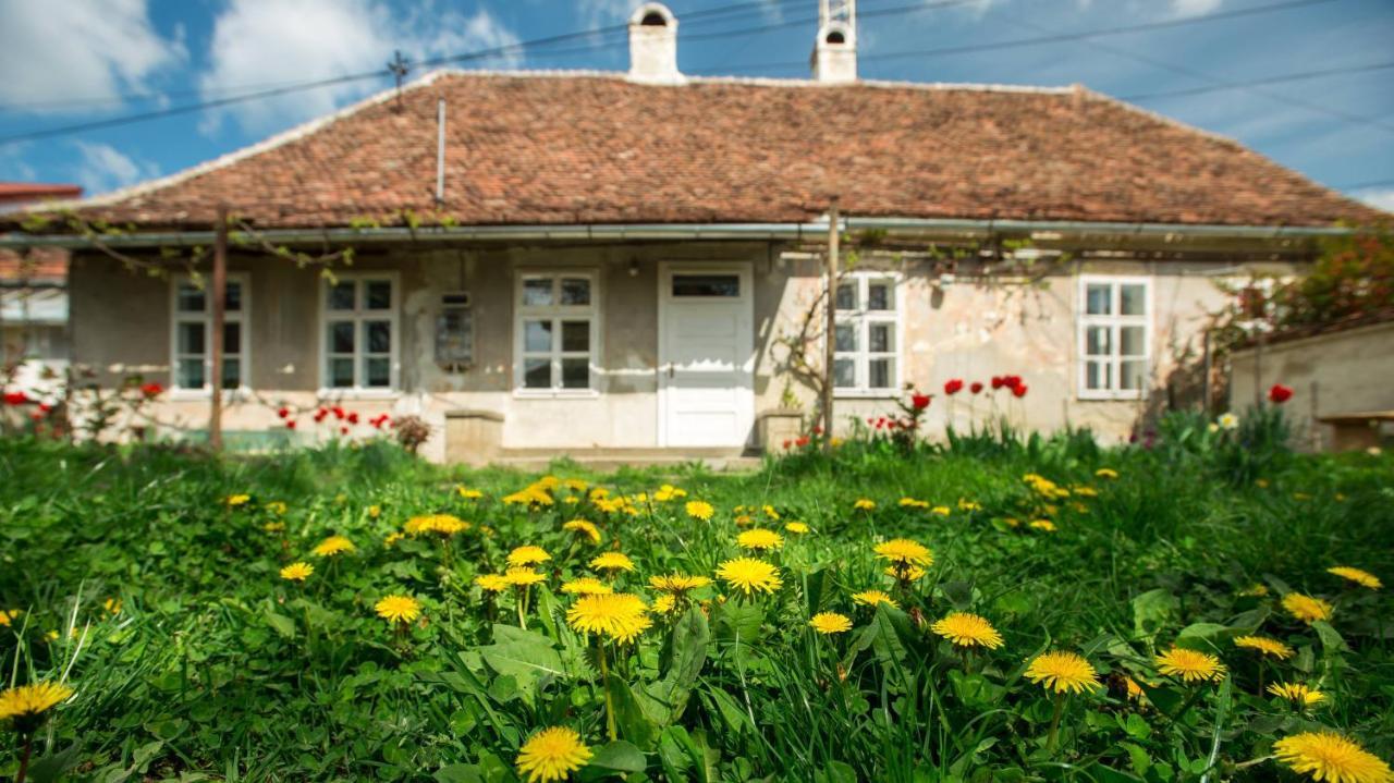 Gaestehaus Fogarasch Făgăraş Exterior foto