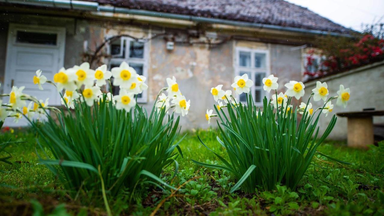 Gaestehaus Fogarasch Făgăraş Exterior foto
